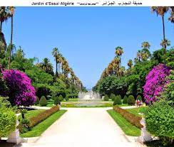 jardin d essai alger algerie rhd njm algeria garden sidewalk