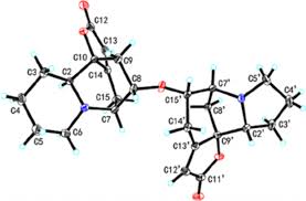 Image result for Mildbraedia carpinifolia