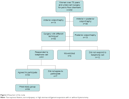 Full Text Outcomes Of Vaginal Hysterectomy And Constricting Colporrhaphy With Co Cia