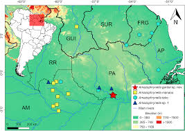 These fossils were recently reported by lee berger and his team. A New Tiny Toad Species Of Amazophrynella Anura Bufonidae From East Of The Guiana Shield In Amazonia Brazil Peerj