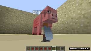 скачать мод на майнкрафт 1 12 2 на превращение в мобов Chiseled Me 1 12 2 1 11 2 1 10 2 Mody Dlya Majnkraft Minecraft Inside