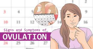 We did not find results for: How To Track Your Ovulation To Get Pregnant