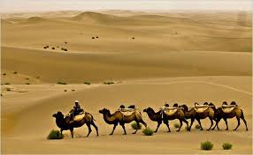 Silk road and bactrian camels as caravan animals. Xinjiang At The Heart Of The Silk Road The New York Times