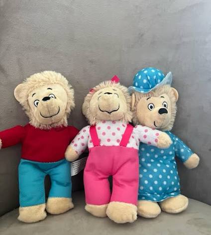 PBS Kids The Berenstain Bears Brother & | Mercari