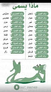 اسماء صفار الحيوانات Arabic Language Learning Arabic Learn Arabic Language