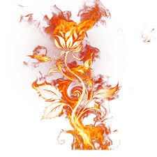 Cartoon Fire 992 992 Transprent Png Free Download Petal Orange Line Cleanpng Kisspng Fire1_64.png 37.8 kb 2126 download(s).
