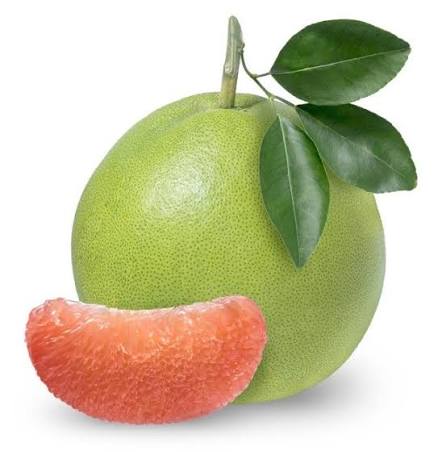 Bưởi
