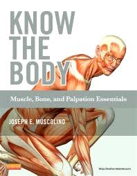 In addition to the usual standing figures, there are many examples of stretched muscles that come from different body postures such as twisting torso, arms moving from the top, front of chest, side, and to the back, behind the head. Know The Body Muscle Bone And Palpation Essentials 1st Edition