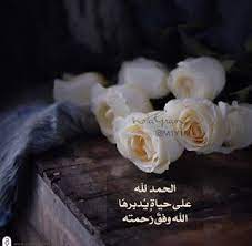 صور الحمدلله 2021 اجمل رمزيات مكتوب عليها الحمد لله plants flowers rose