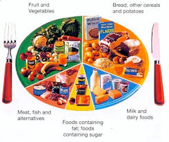 This Pie Chart Shows A Well Balanced Diet By Comparing