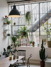 Check spelling or type a new query. How To Care For Succulents And Not Kill Them 9 Plant Care Tips Architectural Digest