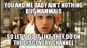 The real slim shady was not originally intended to be part of the marshall mathers lp. Mammals Song Discovery Channel Lyrics Pets Lovers