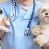 We promise professional assistance in looking after your family pet. Https Encrypted Tbn0 Gstatic Com Images Q Tbn And9gcr8wsqocjq5hw52l0g Sirffhh8w8vpscrmnzuhgafygai4lwes Usqp Cau