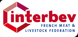 Free vector icons in svg, psd, png, eps and icon font. Logo Logo France 2 Etoiles Png