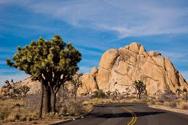 Maybe you would like to learn more about one of these? Joshua Tree National Park Highlights Die Besten Tipps Sehenswurdigkeiten