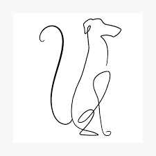 Blue hand drawing of cats. Sleeping Dog Line Drawing Photographic Print By Adamregester Redbubble