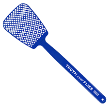 Official Webstore Of Biden For President Fly Swatter Truth Fly Swatters