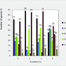 Image result for Pavetta rwandensis