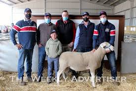 AgLife: Rams go under the hammer