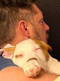 Fur baby support and comfort for severe headaches