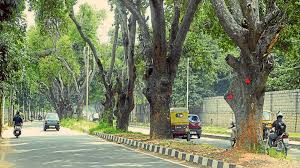 Made with luxurious interiors accompanied with lush green landscaped lawns, it provides an atmosphere of elegance and professional care. Land Acquisition For Road Widening Star Of Mysore