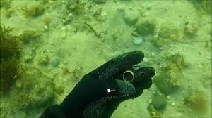 This underwater metal detector is a pulse induction machine, so it can work on dual frequencies, which are 15khz and 5khz. What S The Best Underwater Metal Detector Discover Detecting