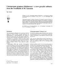 Image result for Rytigynia sp. G