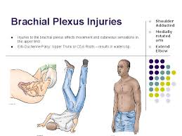 Check spelling or type a new query. Anatomy For Health Care Professionals Nur 469 Lecture