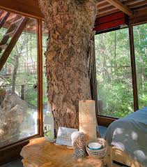 If your entire experience shopping at home improvement stores is defined by home depot and lowe's, the first thing you'll notice together with a team of investor cofounders, ballard launched treehouse in 2011 with the stated aim of making homes thoughtful, sustainable, and healthy. Treeful Treehouse Resort Okinawa Japan Book Of Cabins