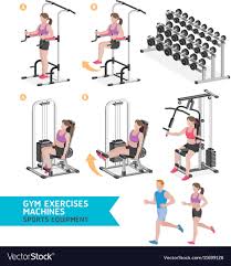 gym exercises machines sports equipment