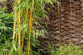 Check spelling or type a new query. Garden Background Images Free Stock Photos Download 11 505 Free Stock Photos For Commercial Use Format Hd High Resolution Jpg Images