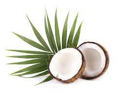 Pin On Coconuts