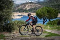 Top 10 Bicicletas de Montaña | Con datos técnicos | Mammoth