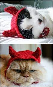 Crochet Cat Hat Pattern Ideas You Ll Love The Whoot Cat Hat Pattern Crochet Cat Hat Pattern Crochet Cat Hat