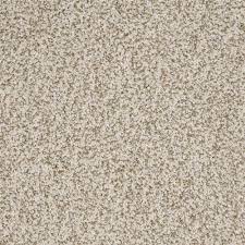 At best buy bowling green, we specialize in helping you find the best technology to fit the way you live. Dixie Home New Age Treasure Carpet Bowling Green Ky Shop At Home Carpets