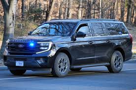 Image result for Tree Green 2018 Fleet