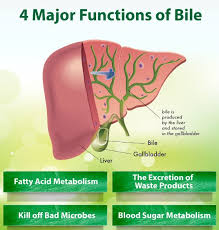 Constipation and weight gain can also be symptoms of gallbladder problems, though these are not usually as relatable to fat intake. Does The Pill Cause Gall Bladder Disease And Gall Stones Dr Hagmeyer Video 5 6 Holistic Functional Medicine