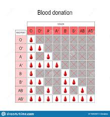 Blood Donation Chart Recipient And Donor Stock Vector