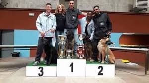 20° championnat de france mondioring. Photo Elevage Du Chateau De Boxie Eleveur De Chiens Berger Belge