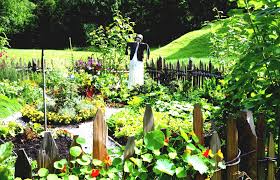 Gemusegarten Orientierung Richtung Der Reihen Gartendeko Selbstversorger Garten Garten Gestalten Garten