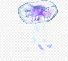 Sea Cartoon Png Download 700 793 Free Transparent Jellyfish Png Download Cleanpng Kisspng Milky way illustration, blue angle pattern, blue elliptical galaxy transparent background png clipart. sea cartoon png download 700 793