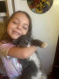 Lost Cat in Huntington