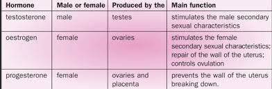 Hormones Uses In Reproduction Gcse Revision Biology