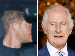 Prince guaranteed Harry s ex Cressida