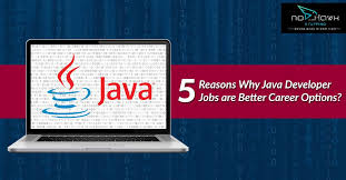 5 Reasons Why Java Developer Jobs Are Better Career Options Career Options Best Careers Career