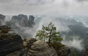Wetter königstein/sächsische schweiz heute liegen die tageshöchsttemperaturen für königstein/sächsische schweiz bei °c, während es sich in königstein/sächsische schweiz in der. 7 Empfehlungen Fur Dein Wochenende In Der Sachsischen Schweiz