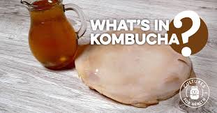 Résultat de recherche d'images pour "kombucha"