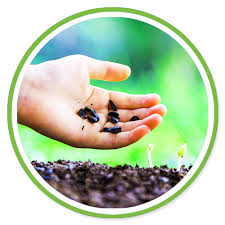 Committed in providing the best quality products for our customers, we apply stringent quality control process and use only superior planting materials to significantly improve crops marketability besides developing new varieties. Gwg Online E Shop Malaysia Best Seeds Online