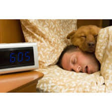 This Is How My Dog Sleeps With Me In My Bed Right On Top Of Me Dog Sleeping In Bed Sleeping Dogs Rem Sleep