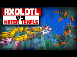 What's the chance of an axolotl turning into an adult? Top 5 Uses Of Axolotls In Minecraft 1 17 Caves Cliffs Update